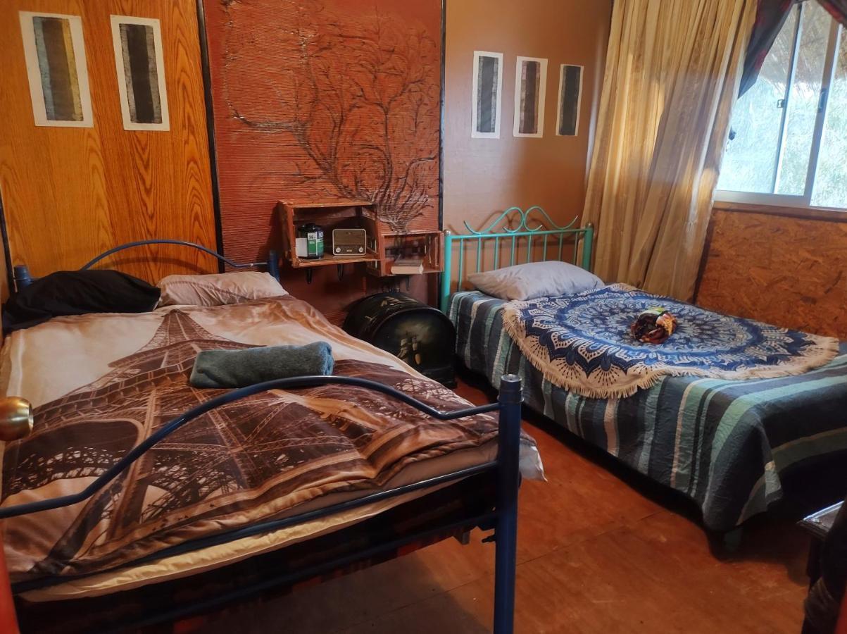 سانتياغو Nuevovalpo Hillside Homestay المظهر الخارجي الصورة