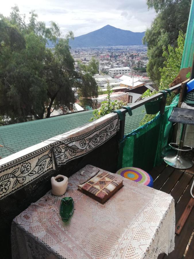 سانتياغو Nuevovalpo Hillside Homestay المظهر الخارجي الصورة