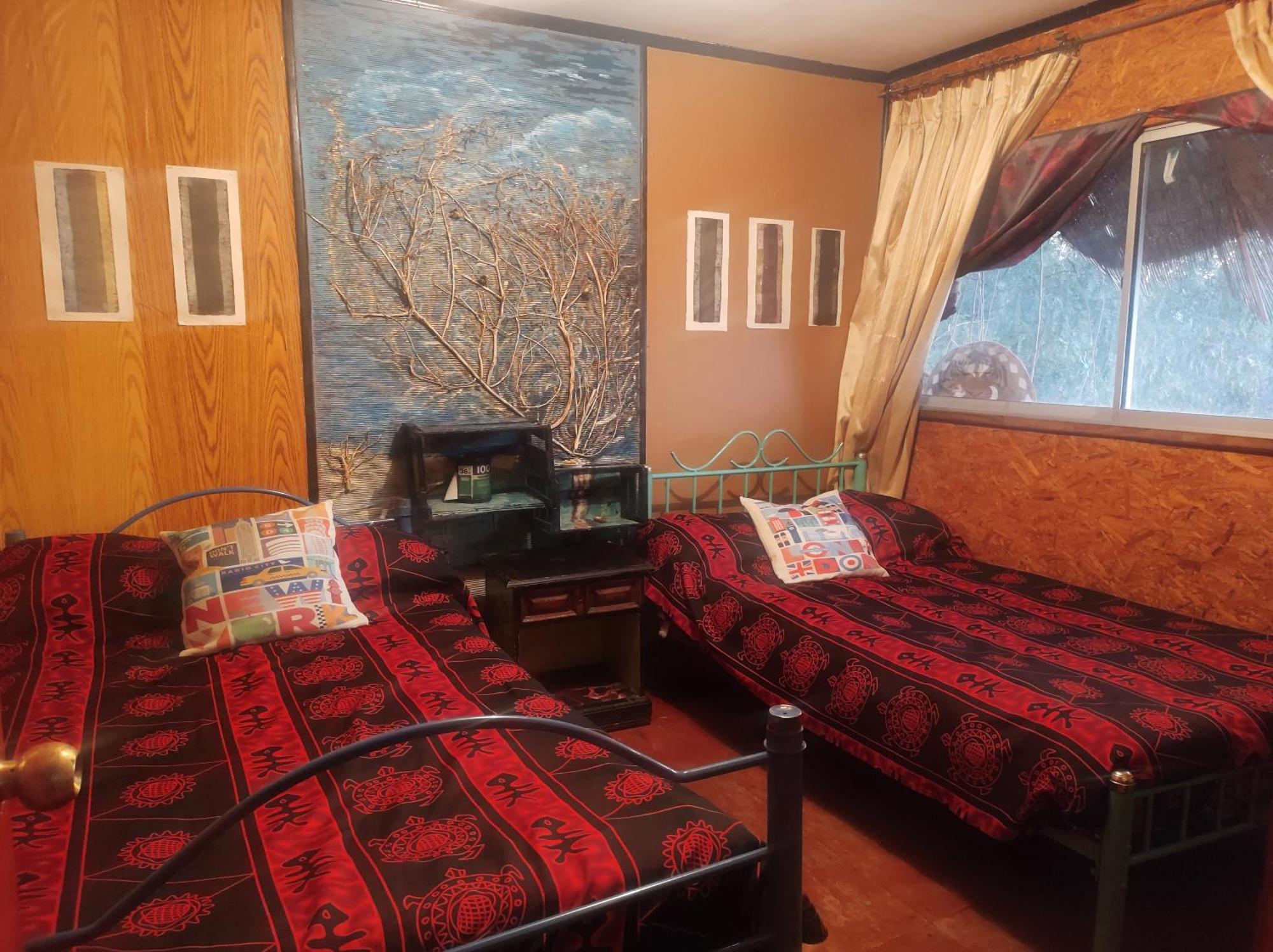 سانتياغو Nuevovalpo Hillside Homestay المظهر الخارجي الصورة